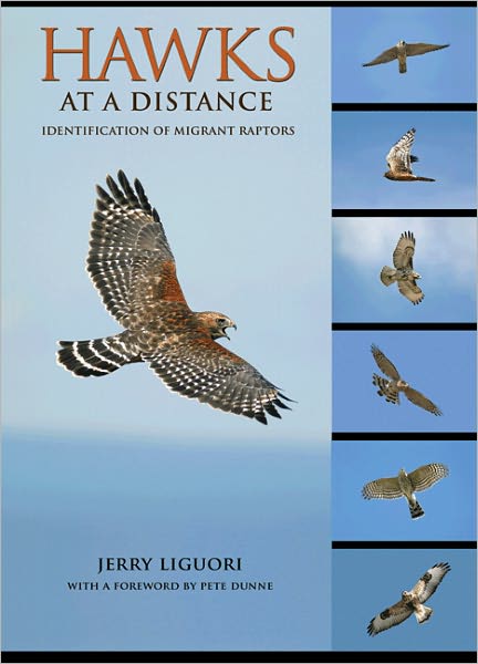 falcons prey book